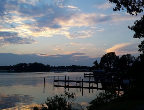 Top 10 Things to Do on Virginia’s Eastern Shore